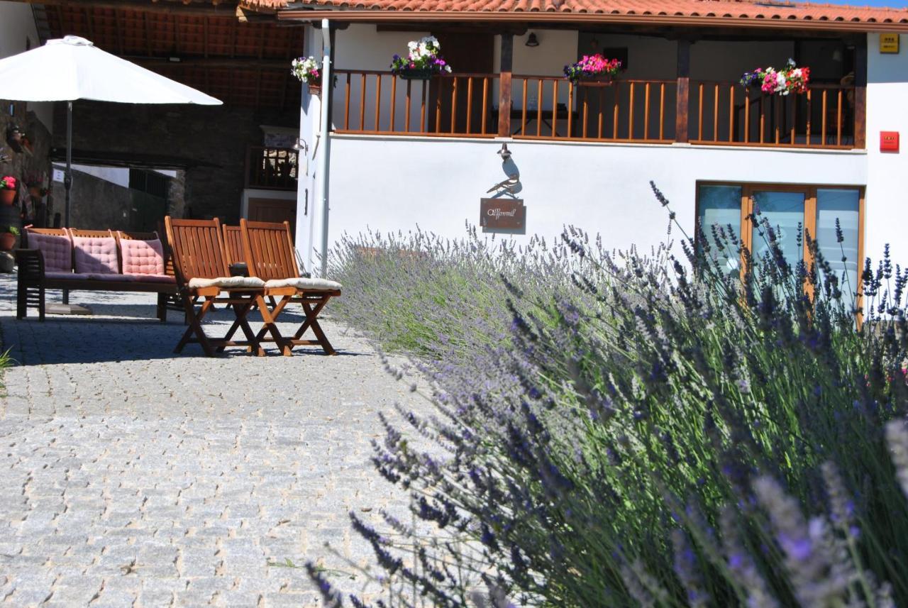 Alformil Farm stay Braganca